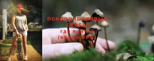 PSILOCYBIN Беломорск